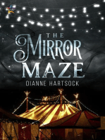 The Mirror Maze