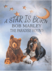 Lesen Sie A Star Is Born Bob Marley The Paradise Hound Von Tanja Rothmeier Forg Online Bucher
