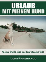 Urlaub mit meinem Hund: Wenn Wuffi mit an den Strand will