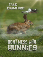 Don't Mess with Bunnies