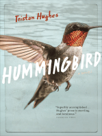 Hummingbird