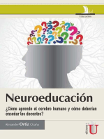 Neuroeducación: ¿Cómo aprende el cerebro humano y cómo deberían enseñar los docentes?