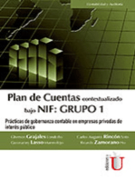 Plan de Cuentas bajo NIF: Grupo 1: Prácticas de gobernanza contable en empresas privadas de interés público