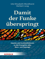 Damit der Funke überspringt: Impulse und Kurzmeditationen zu den Evangelien aller Sonn- und Feiertage