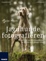 Jagdhunde fotografieren: Bei der Jagd, mit dem Hundeführer, im Porträt nach getaner Arbeit