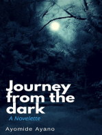 Journey From The Dark