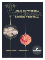 Atlas de patología veterinaria. General y especial