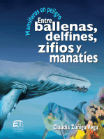 Mamíferos en peligro. Entre ballenas, delfines, zifios y manatíes