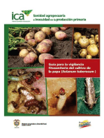 Guía para la vigilancia fitosanitaria del cultivo de la papa (Solanum tuberosum)