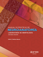 Manual de prácticas de Neuroanatomía 2da edición: Laboratorio de morfología