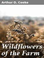 Wildflowers of the Farm