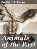 Animals of the Past