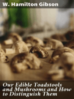 Our Edible Toadstools and Mushrooms and How to Distinguish Them