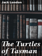 The Turtles of Tasman