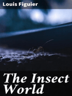 The Insect World: Being a Popular Account of the Orders of Insects; Together with a Description of the Habits and Economy of Some of the Most Interesting Species