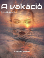 A vakáció: Szindikátus 3.