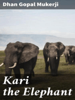 Kari the Elephant