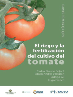 El riego y la fertilización en el cultivo del tomate: Guía técnica de campo