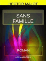 Sans Famille