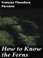 How to Know the Ferns