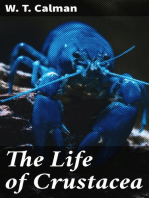 The Life of Crustacea