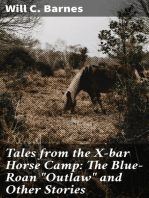 Tales from the X-bar Horse Camp: The Blue-Roan "Outlaw" and Other Stories