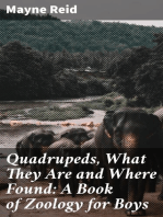 Quadrupeds, What They Are and Where Found