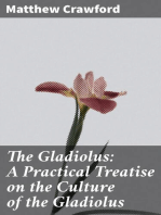 The Gladiolus