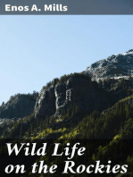 Wild Life on the Rockies