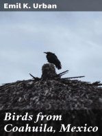 Birds from Coahuila, Mexico