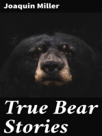 True Bear Stories