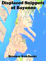 Displaced Snippets of Bayonne