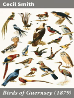 Birds of Guernsey (1879)