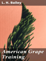 American Grape Training