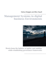 Management Systems in digital business Environments