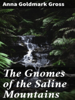 The Gnomes of the Saline Mountains: A Fantastic Narrative