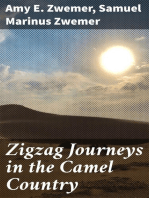 Zigzag Journeys in the Camel Country