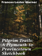 Pilgrim Trails