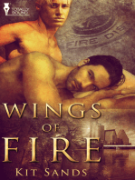 Wings of Fire