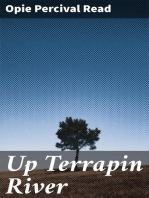 Up Terrapin River