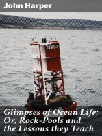 Glimpses of Ocean Life; Or, Rock-Pools and the Lessons they Teach