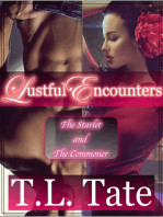 Lustful Encounters