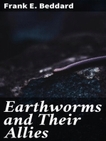 Earthworms and Their Allies