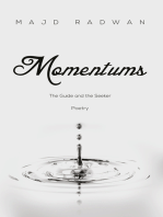Momentums: The guide and the seeker