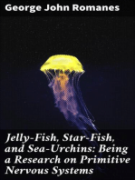 Jelly-Fish, Star-Fish, and Sea-Urchins