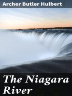 The Niagara River