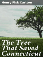 The Tree That Saved Connecticut