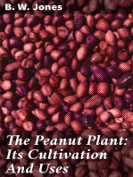 The Peanut Plant