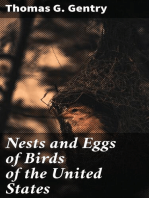 Nests and Eggs of Birds of the United States