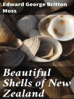 Beautiful Shells of New Zealand: An Illustrated Work for Amateur Collectors of New Zealand Marine Shells, with Directions for Collecting and Cleaning them